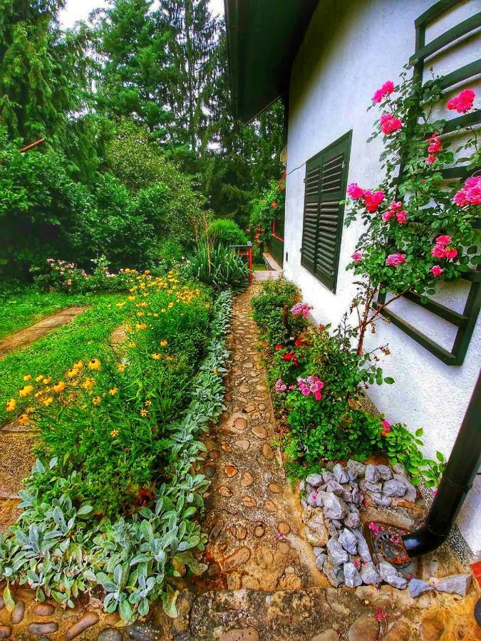 Villa Kuca Za Odmor "Livadica" Netretic Exterior foto