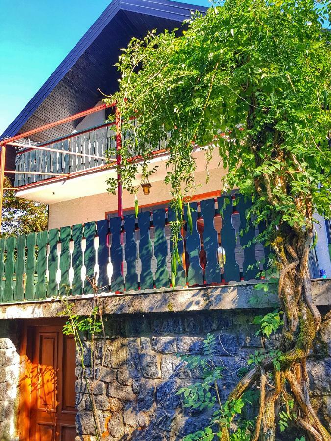 Villa Kuca Za Odmor "Livadica" Netretic Exterior foto